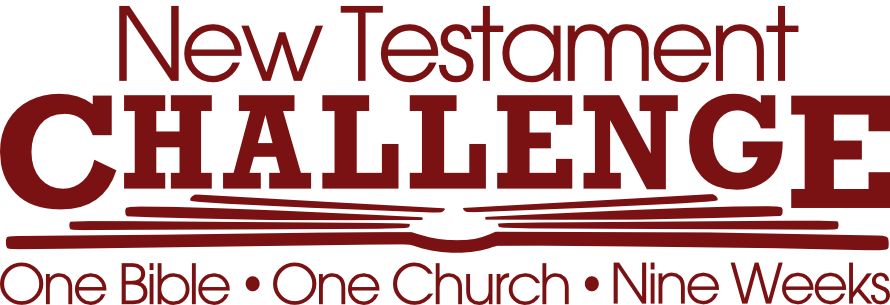 New Testament Challenge